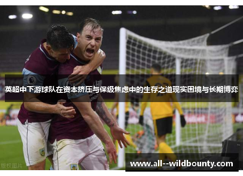 英超中下游球队在资本挤压与保级焦虑中的生存之道现实困境与长期博弈