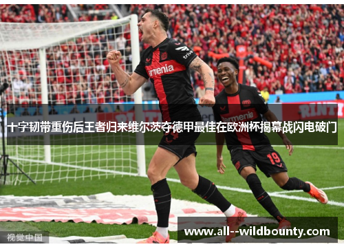 十字韧带重伤后王者归来维尔茨夺德甲最佳在欧洲杯揭幕战闪电破门
