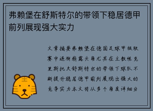 弗赖堡在舒斯特尔的带领下稳居德甲前列展现强大实力