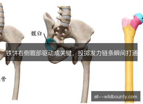 铁饼右侧髋部驱动成关键，投掷发力链条瞬间打通