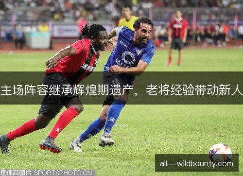 主场阵容继承辉煌期遗产，老将经验带动新人