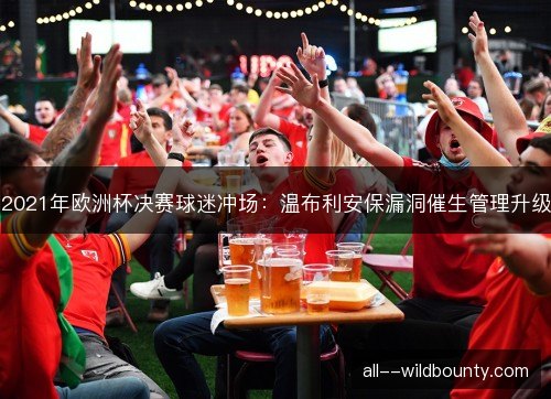 2021年欧洲杯决赛球迷冲场:温布利安保漏洞催生管理升级 2021年欧洲杯决赛球迷冲场:温布利安保漏洞催生管理升级
